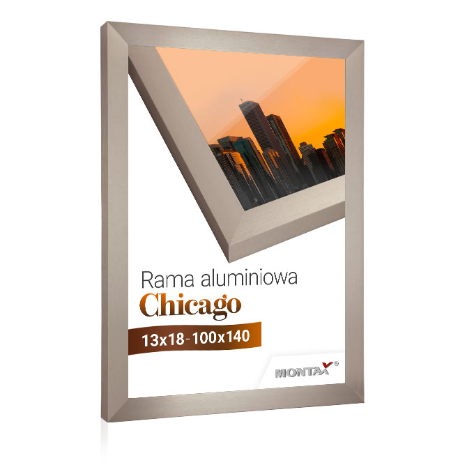 Rama aluminiowa Chicago - stalowy - 59,4 x 84 cm (A1) - poliwęglan